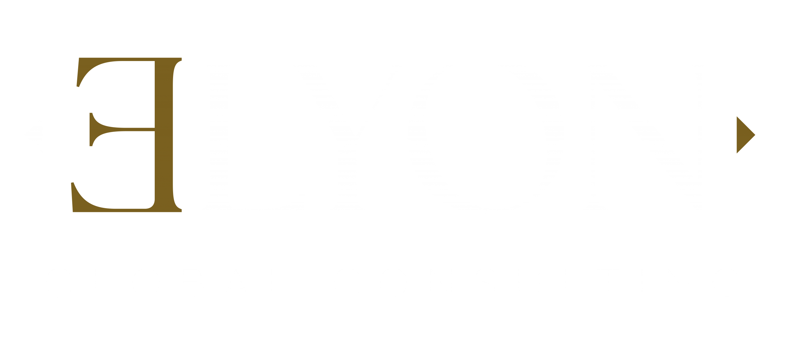 Elyon Global Consulting